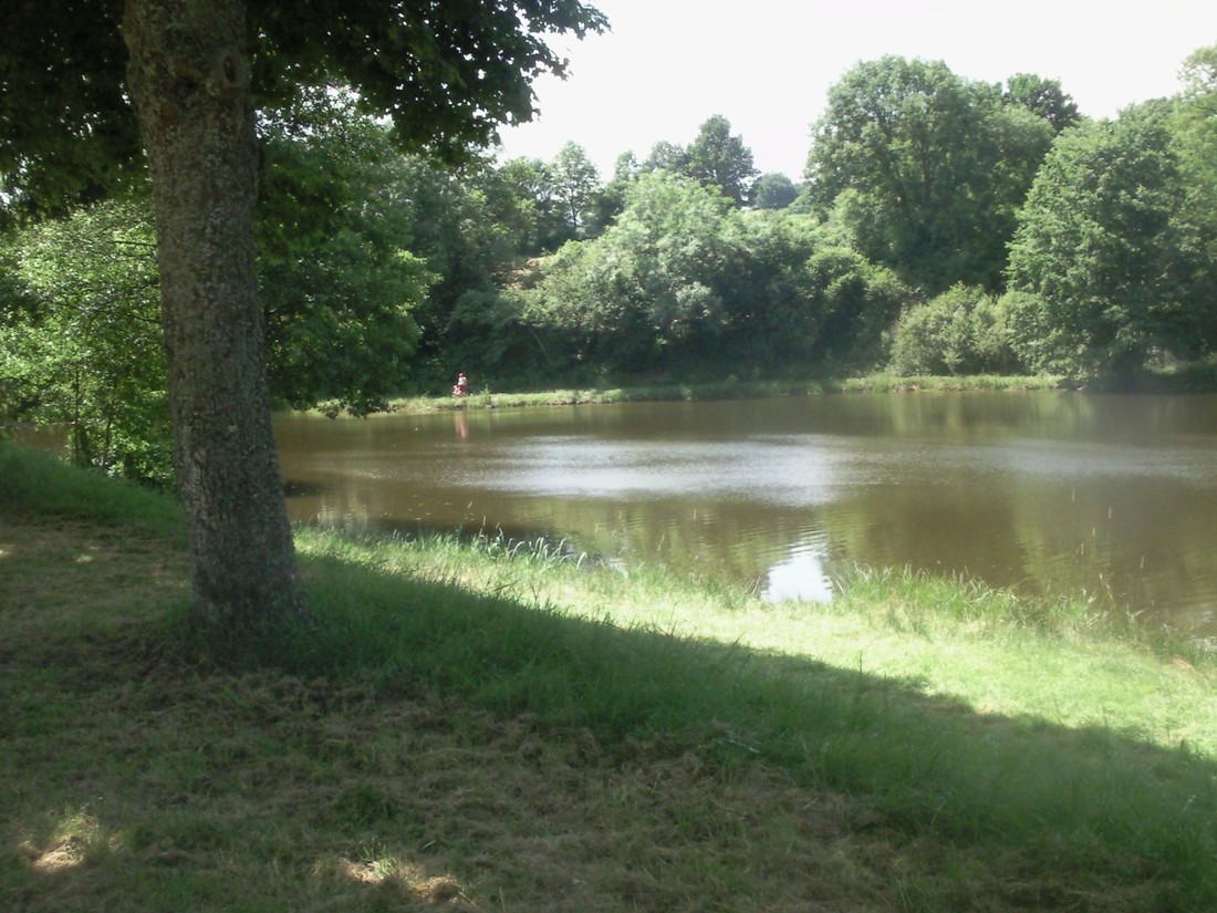 Camping Les Vergnes photo 2