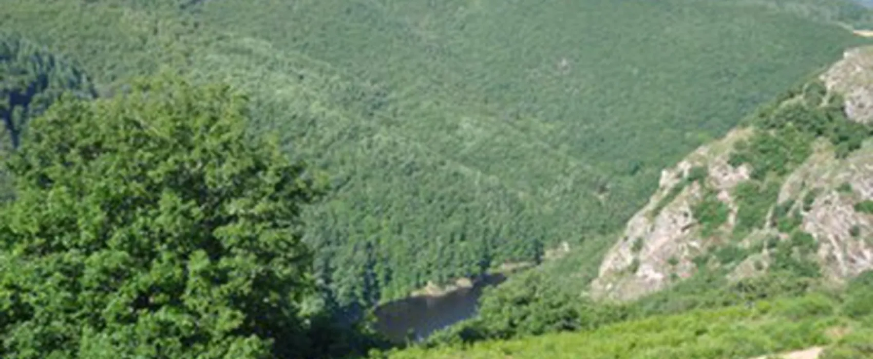 Camping Naturiste Domaine De La Taillade  