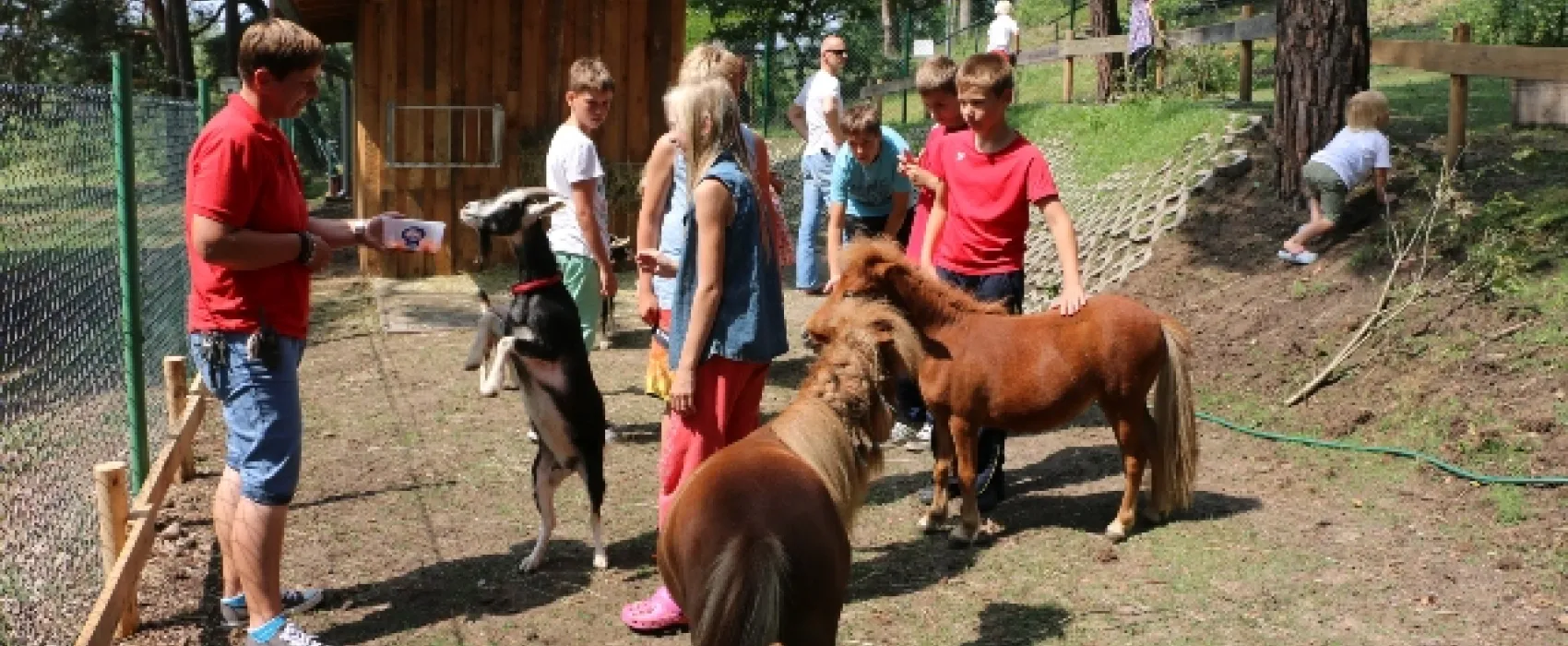 Campingpark Buntspecht
