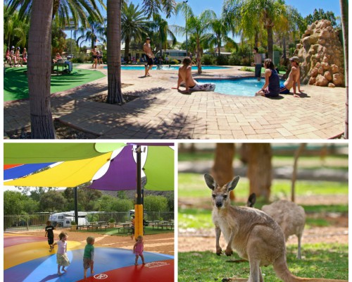 BIG4 MacDonnell Range Holiday Park photo 4