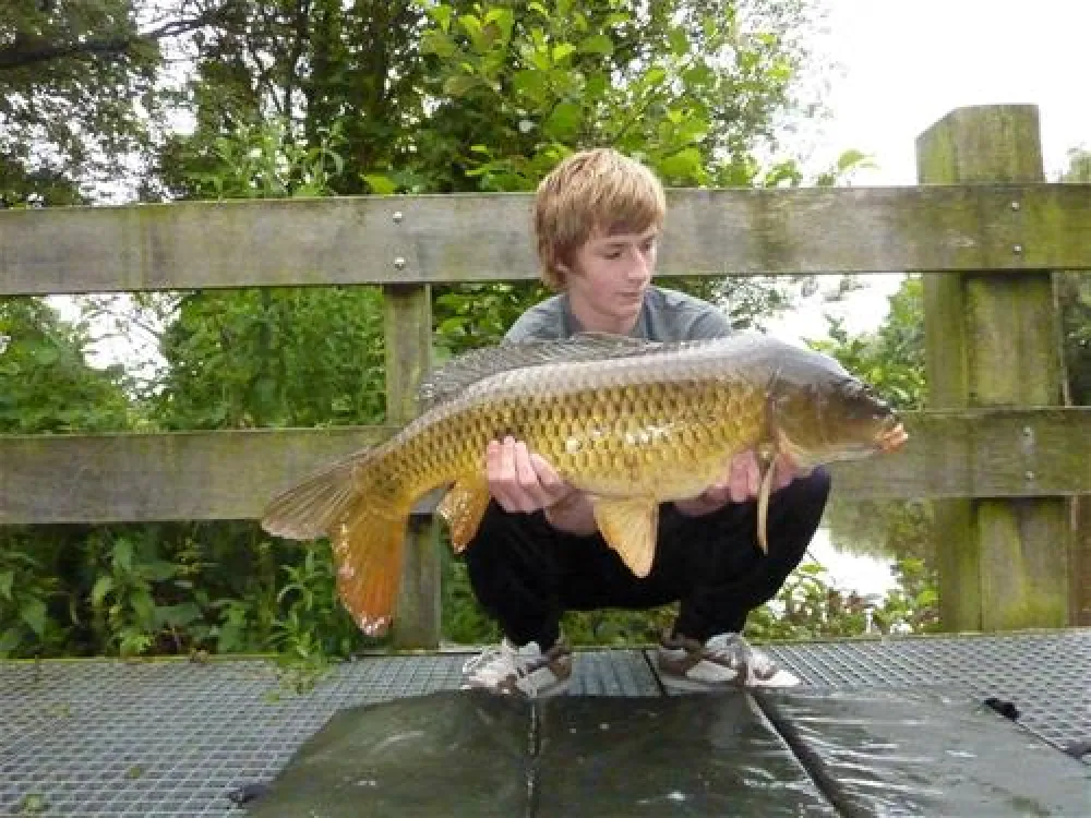 Camping Grimberghoeve