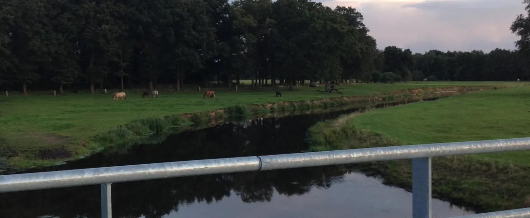 Camping Grimberghoeve