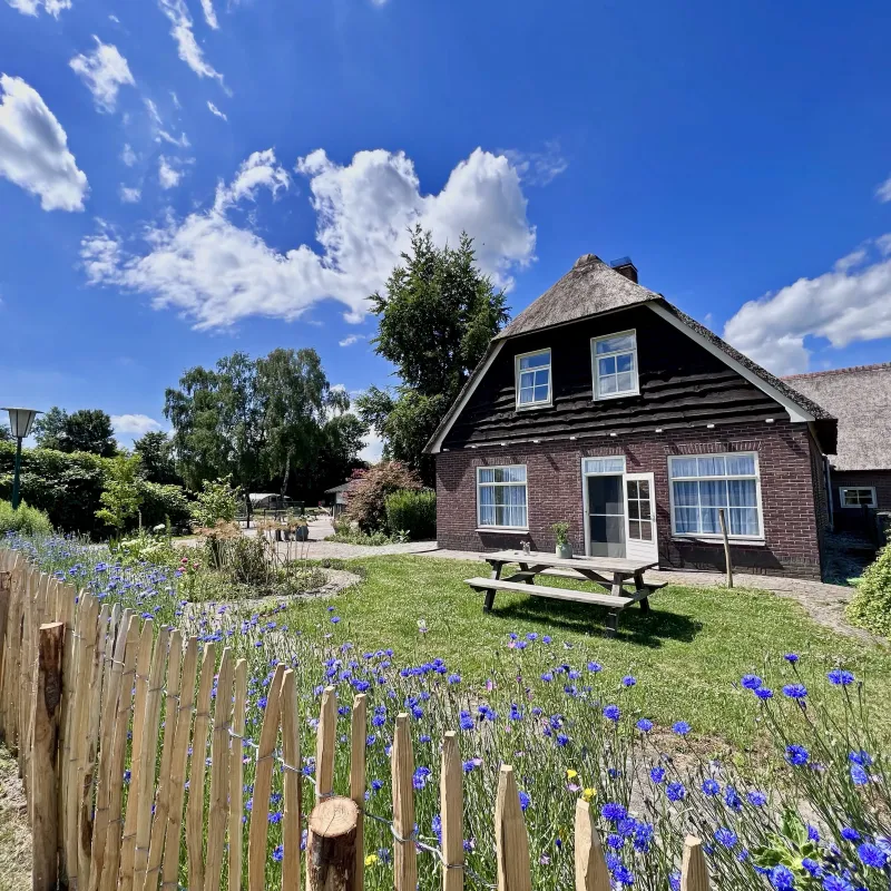 Camping de Portlander