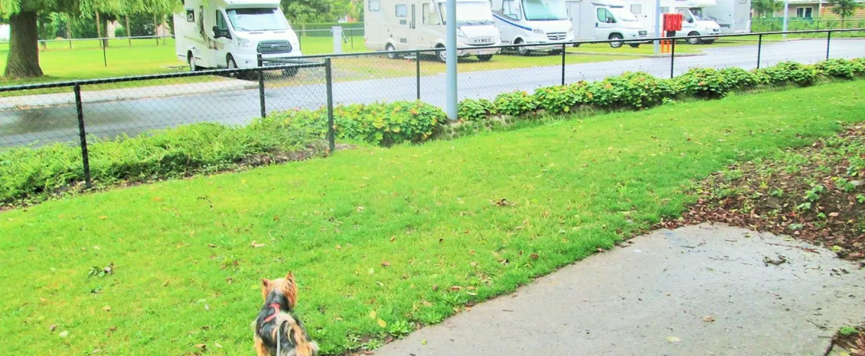 Kampeerautoterrein Leiekamper