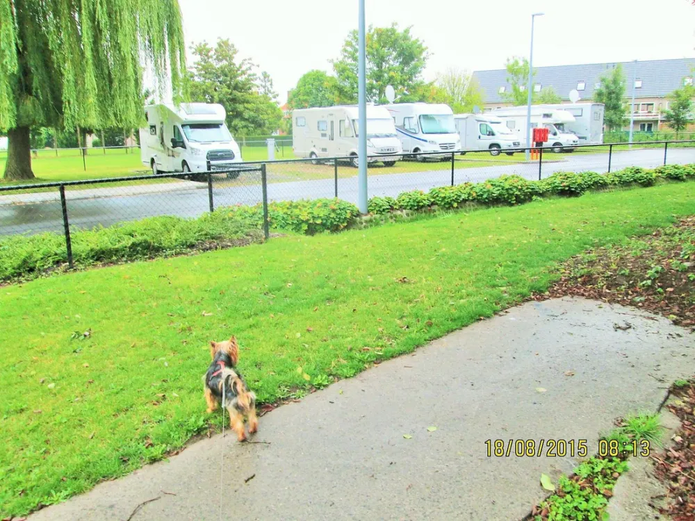 Kampeerautoterrein Leiekamper