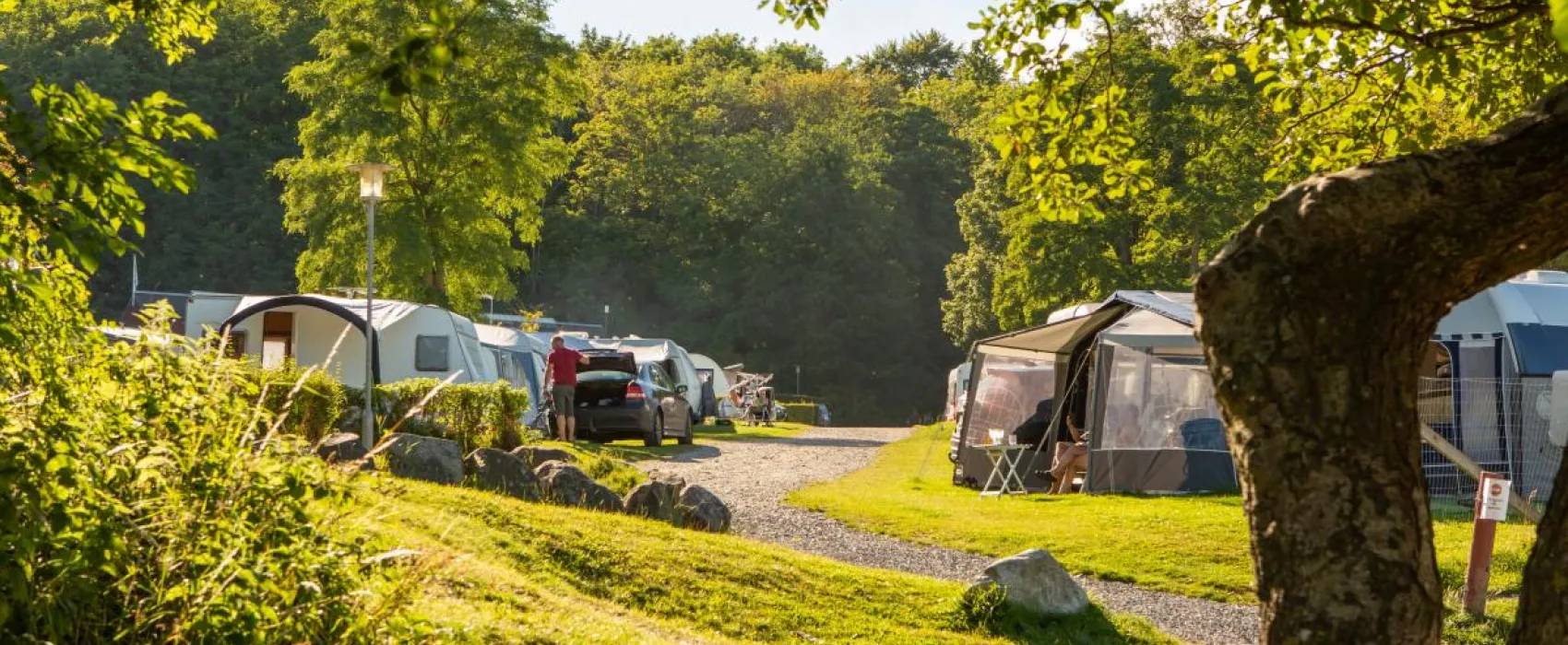 DCU Camping Blommehaven