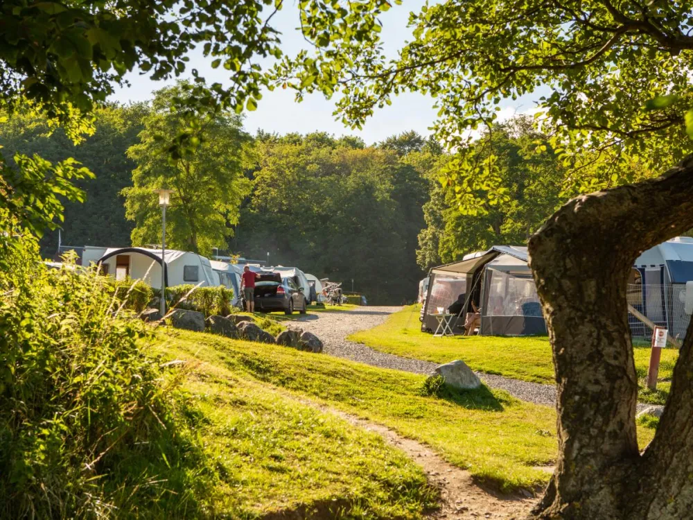 DCU Camping Blommehaven