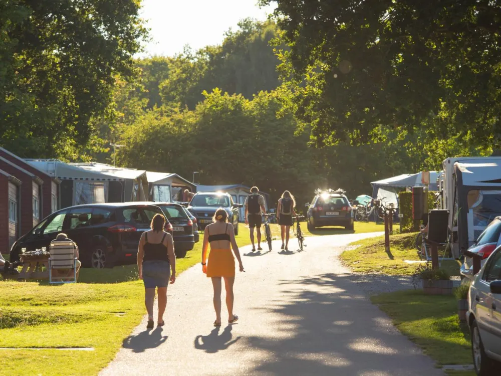 DCU Camping Blommehaven