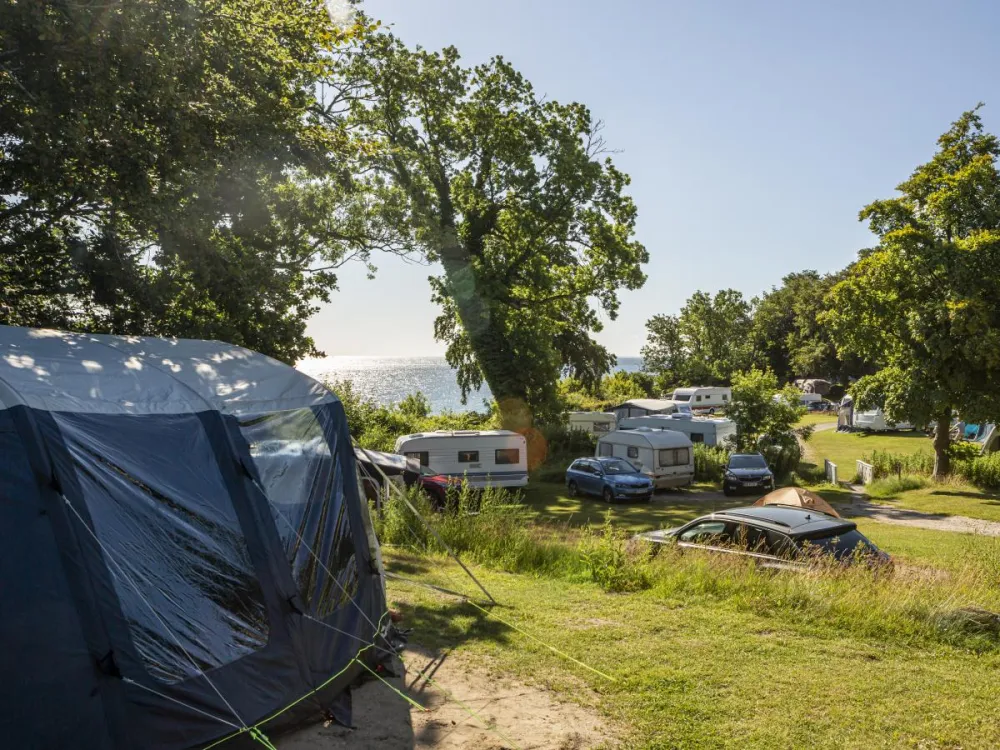 DCU Camping Blommehaven