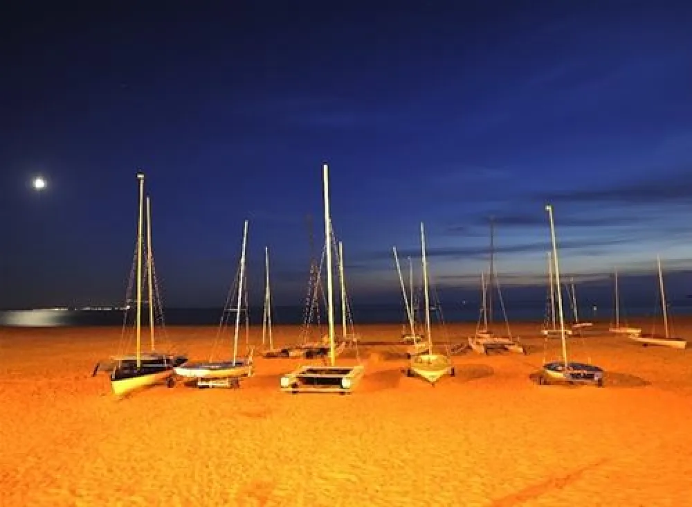 Flower Camping Walmone