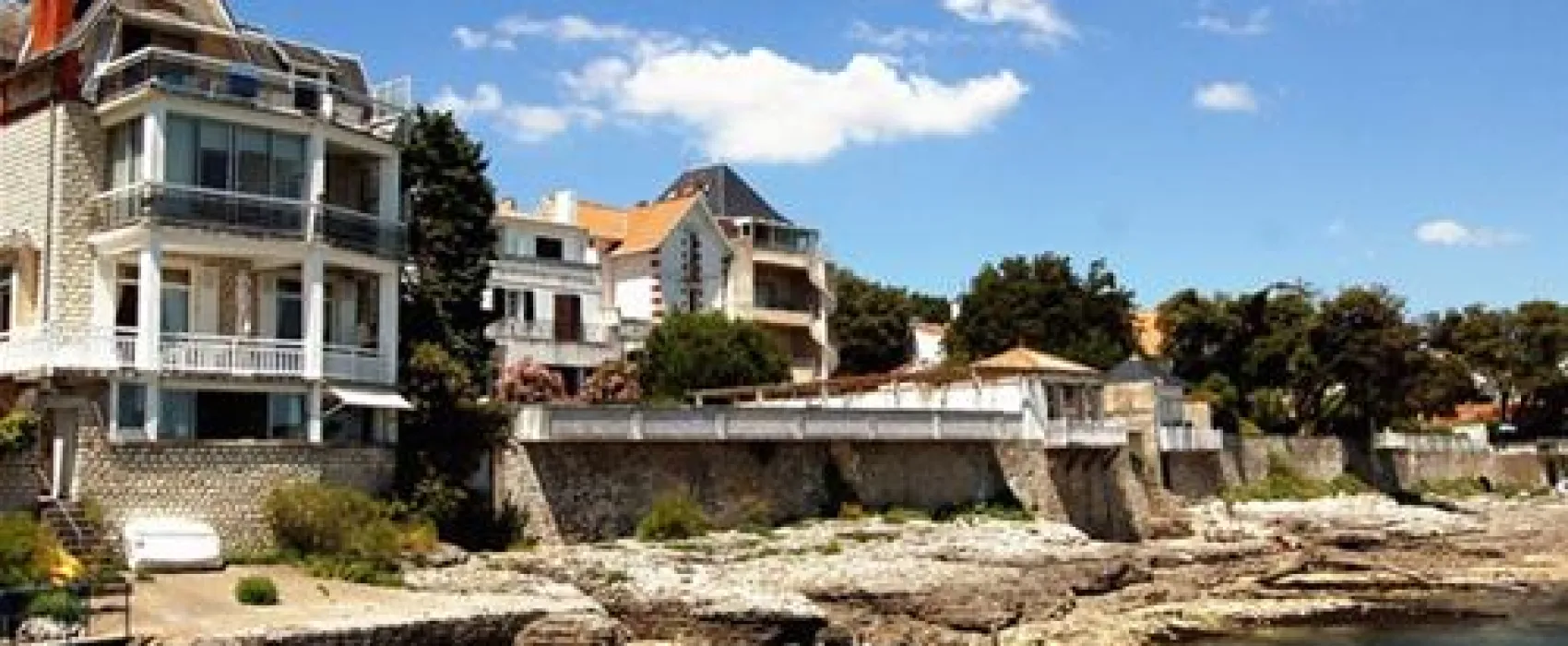 Flower Camping Walmone