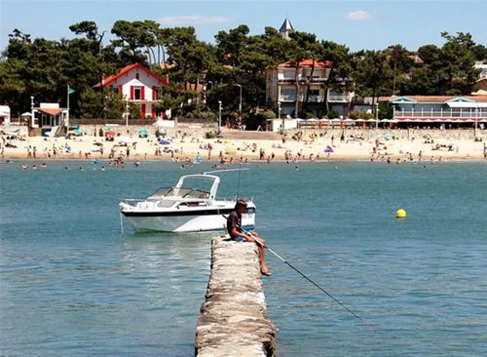 Flower Camping Walmone