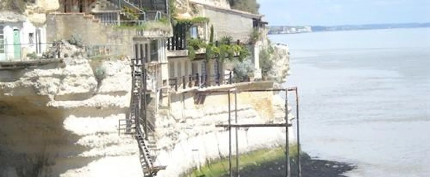 Flower Camping Walmone