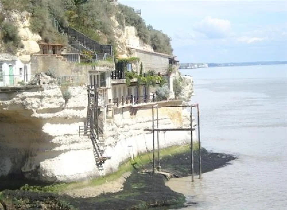 Flower Camping Walmone