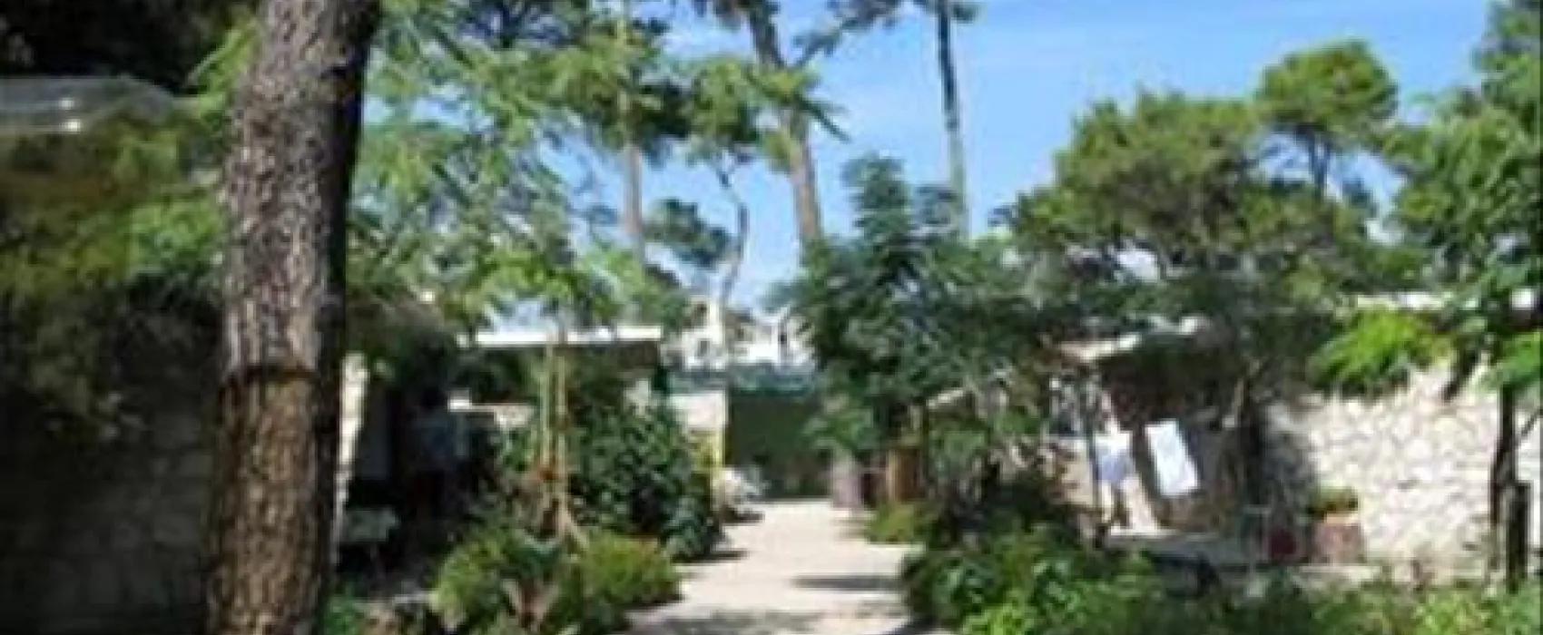 Camping Diana & Josip