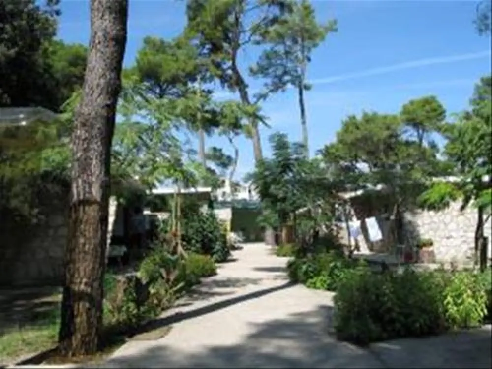 Camping Diana & Josip