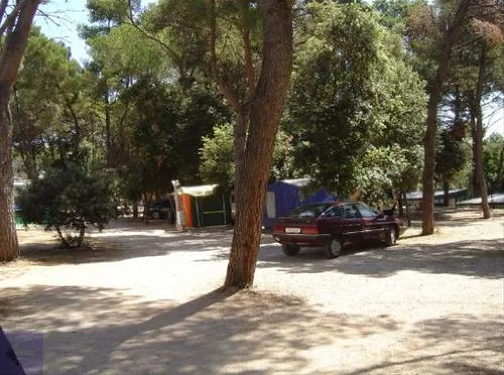 Camping Diana & Josip