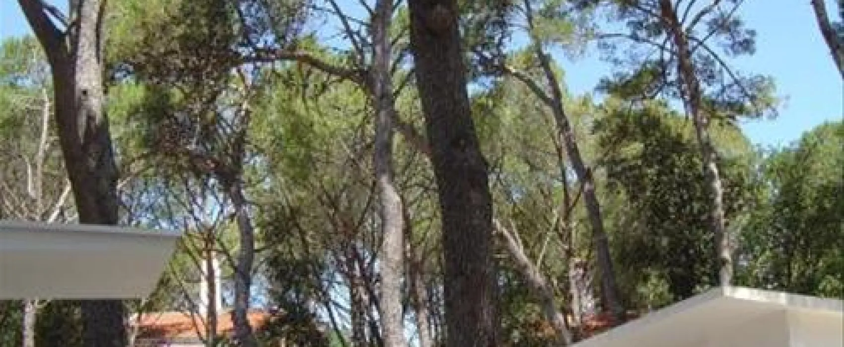 Camping Diana & Josip