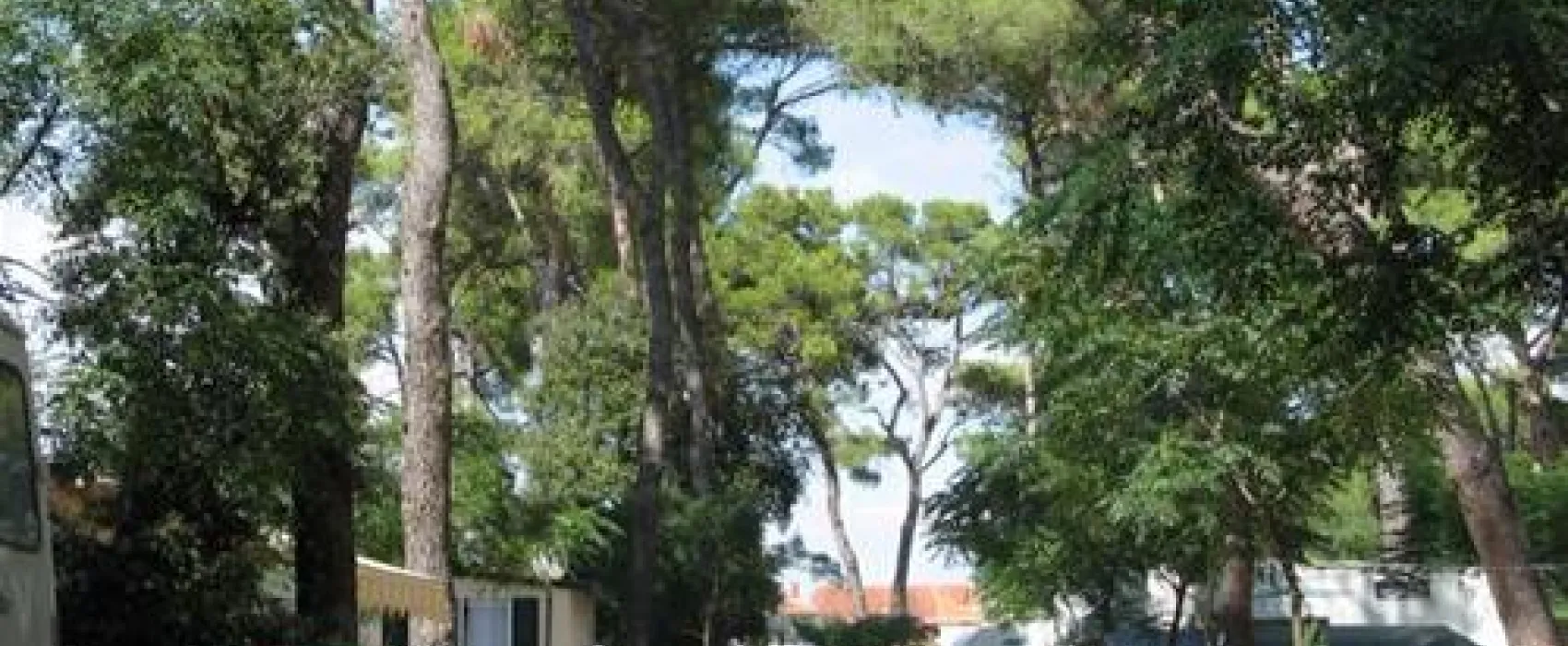 Camping Diana & Josip