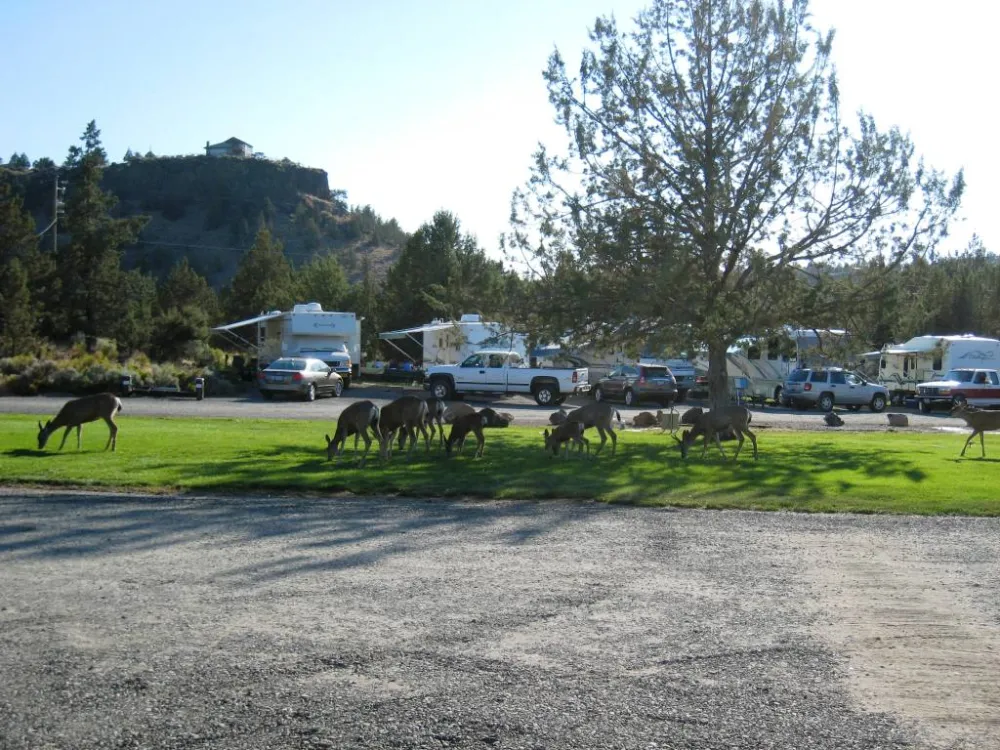 River Ranch RV Resort