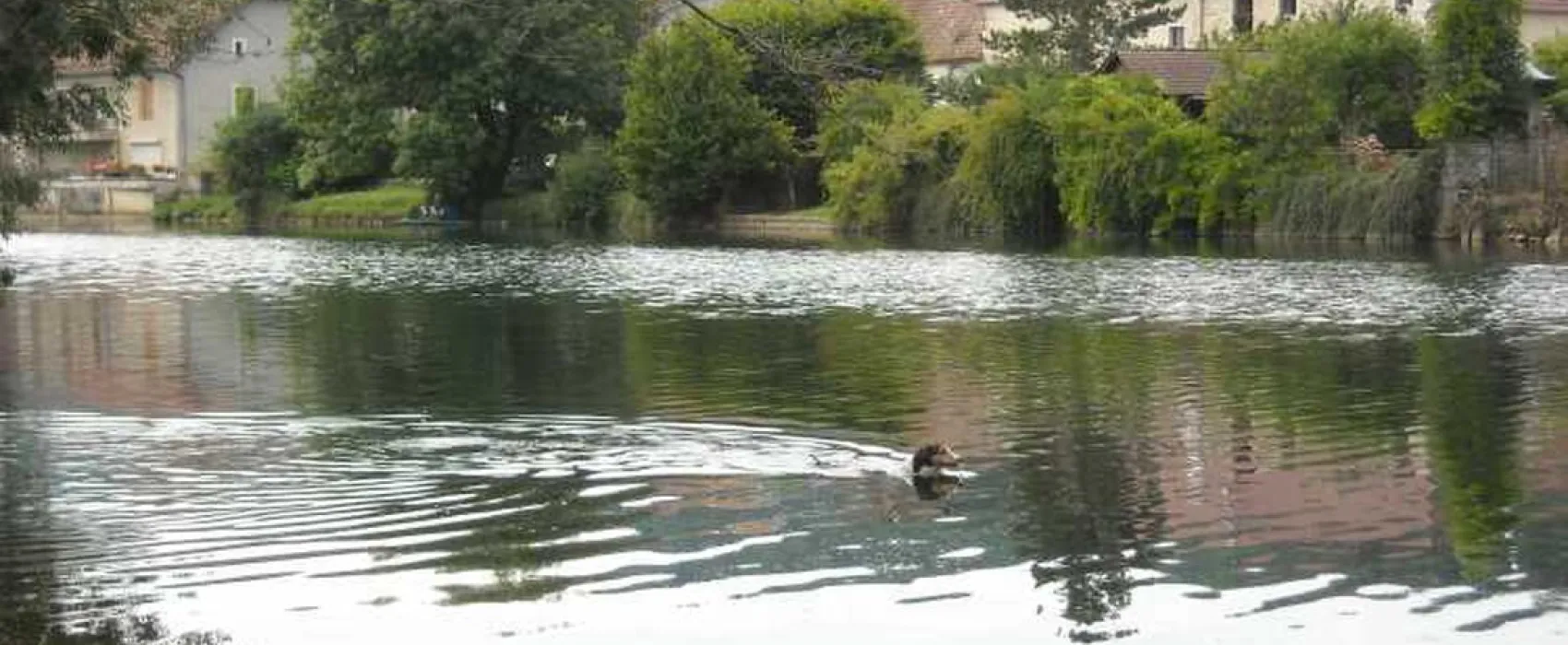 Municipal Les Promenades