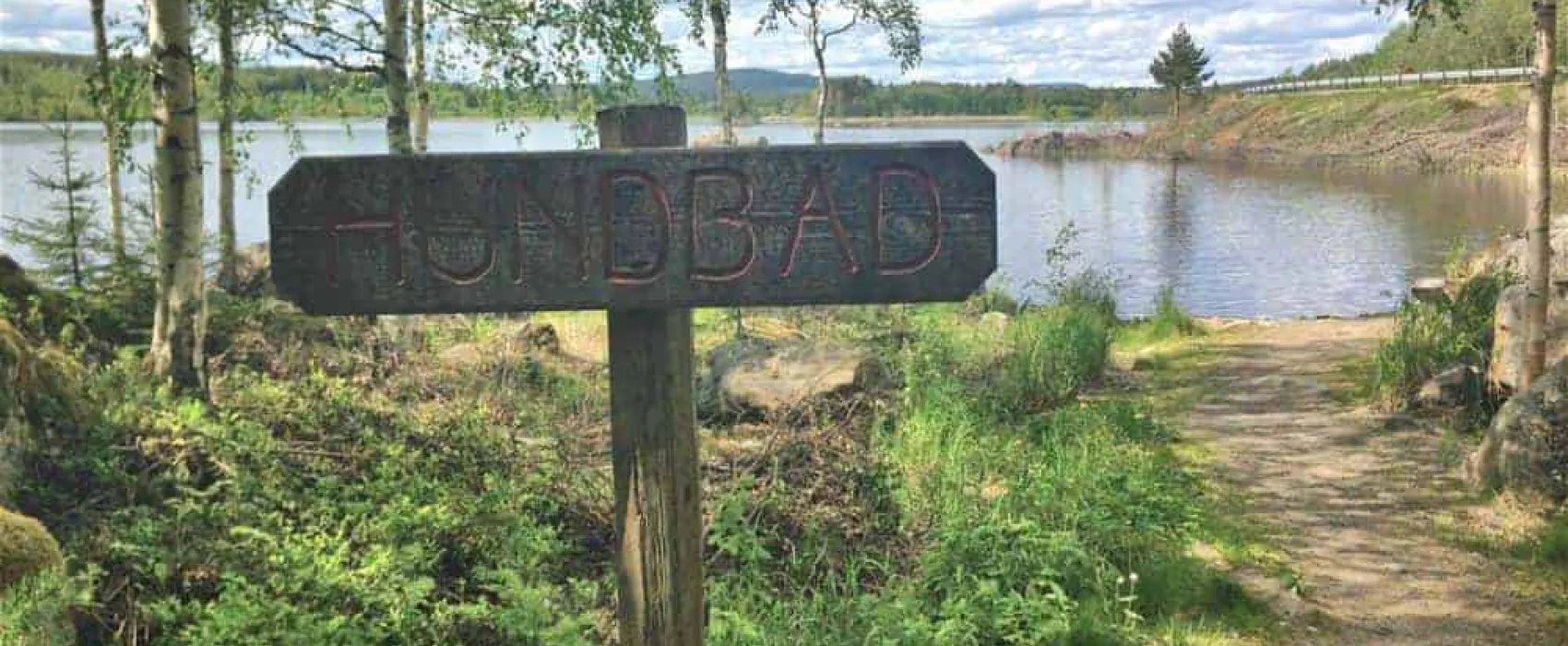 Ångersjöns Mat & Vildmarkscamping