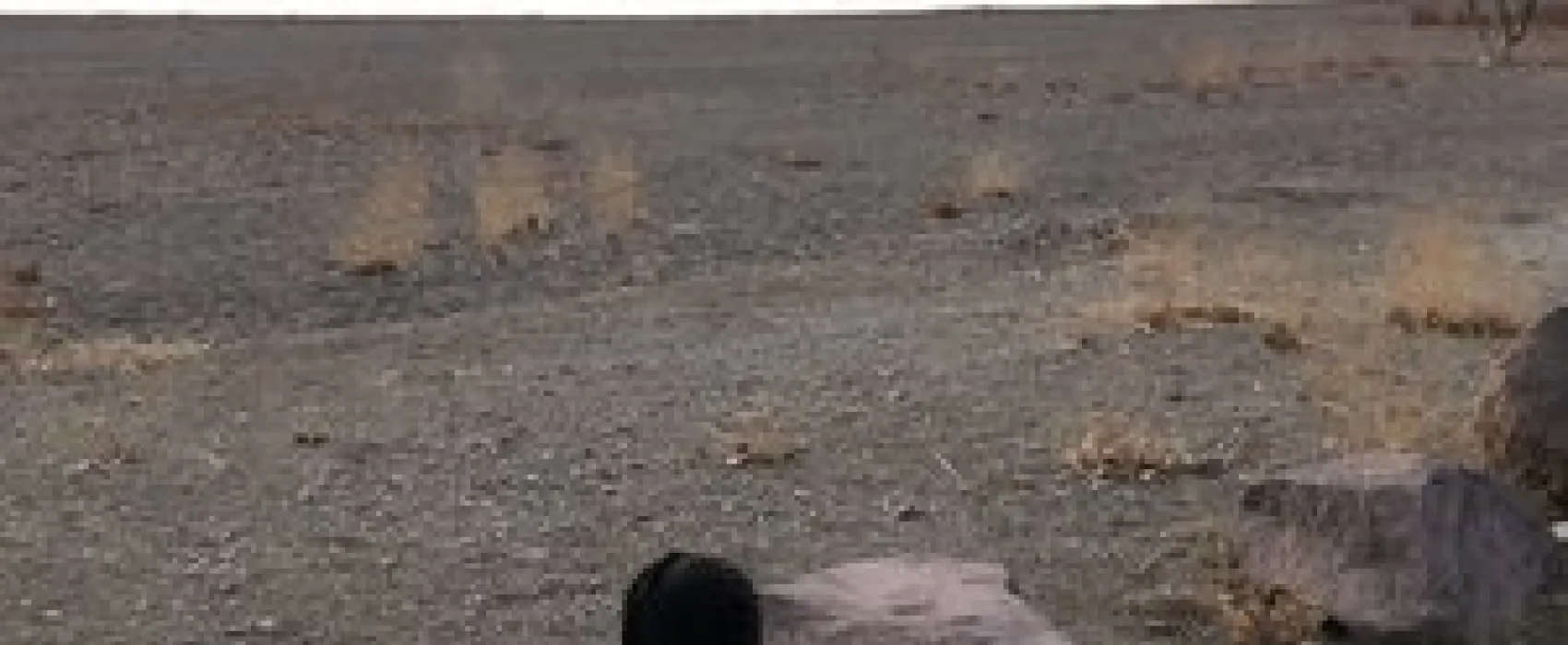 Topaz Lake Recreation Area