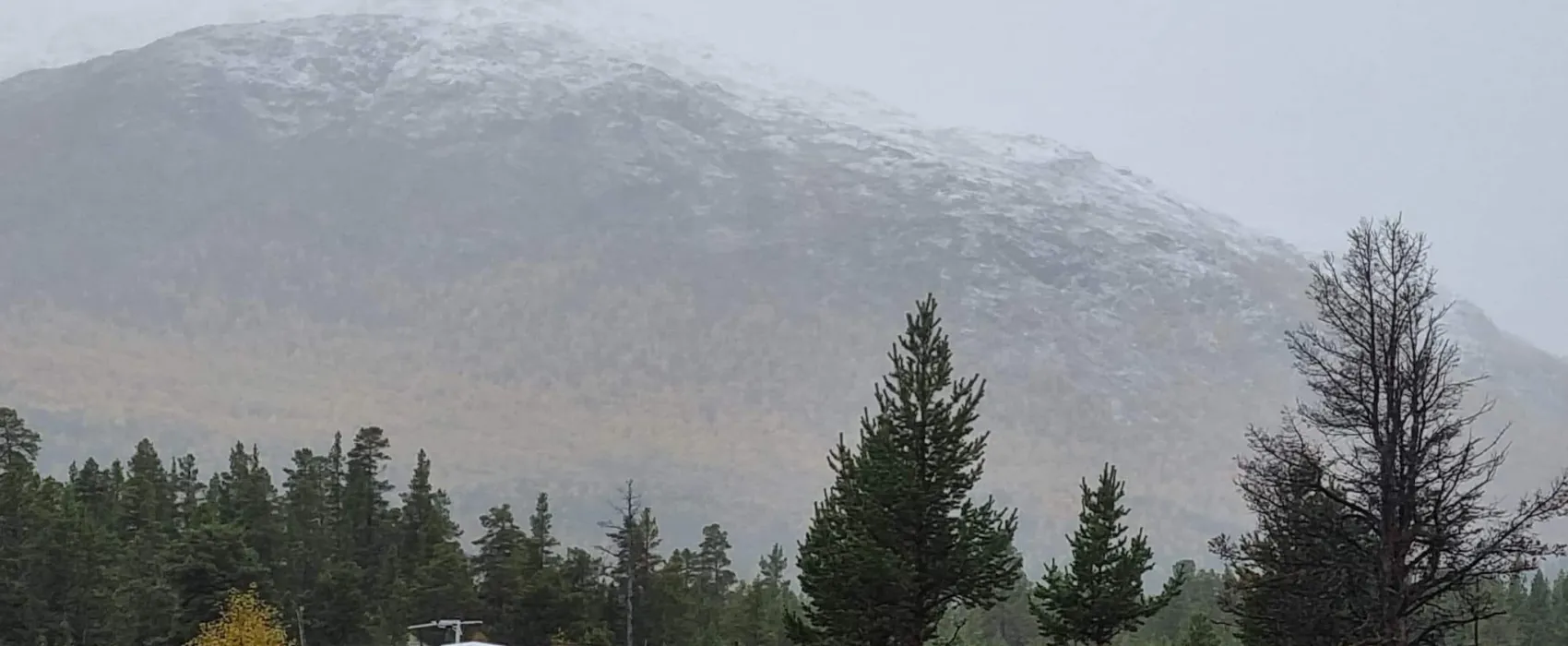 Sjodalen Hyttetun og Camping AS