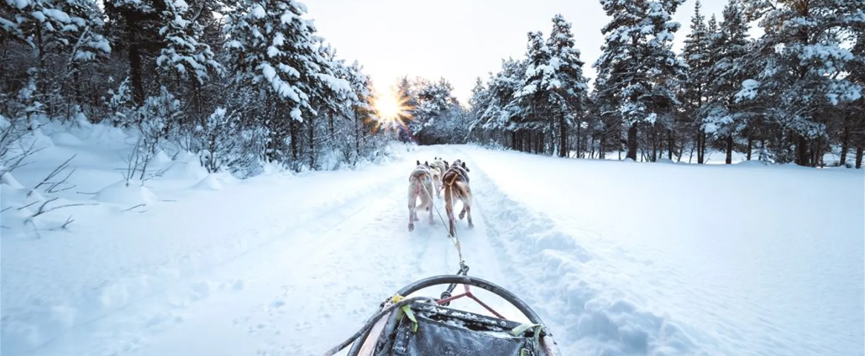 Sjodalen Hyttetun og Camping AS
