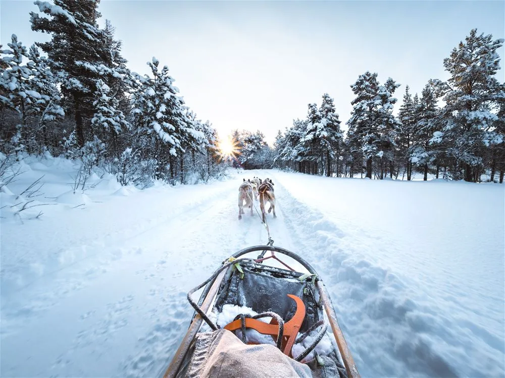 Sjodalen Hyttetun og Camping AS