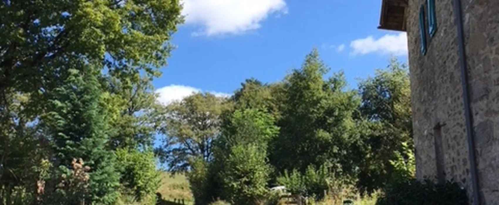 Domaine Les Teuillères (camping/chambres d'Hôtes/gîtes)