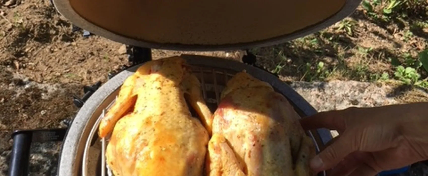 Domaine Les Teuillères (camping/chambres d'Hôtes/gîtes)