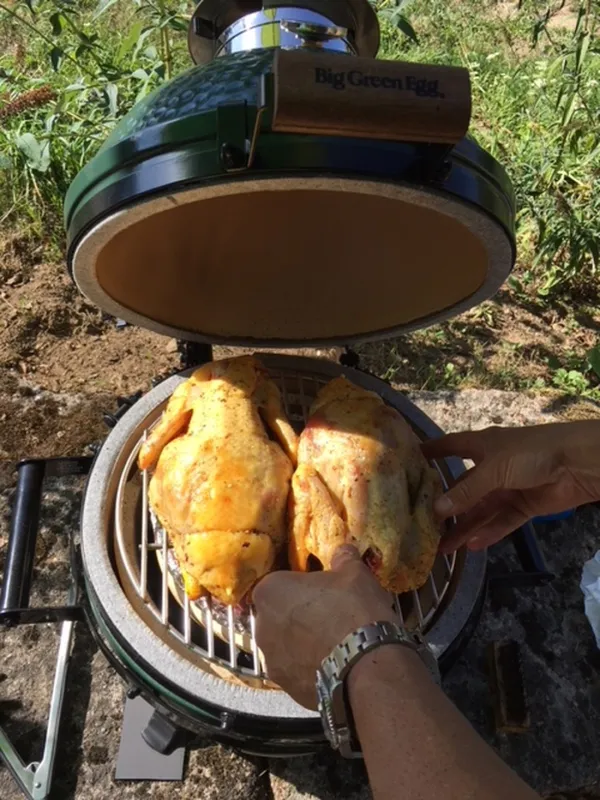 Domaine Les Teuillères (camping/chambres d'Hôtes/gîtes)