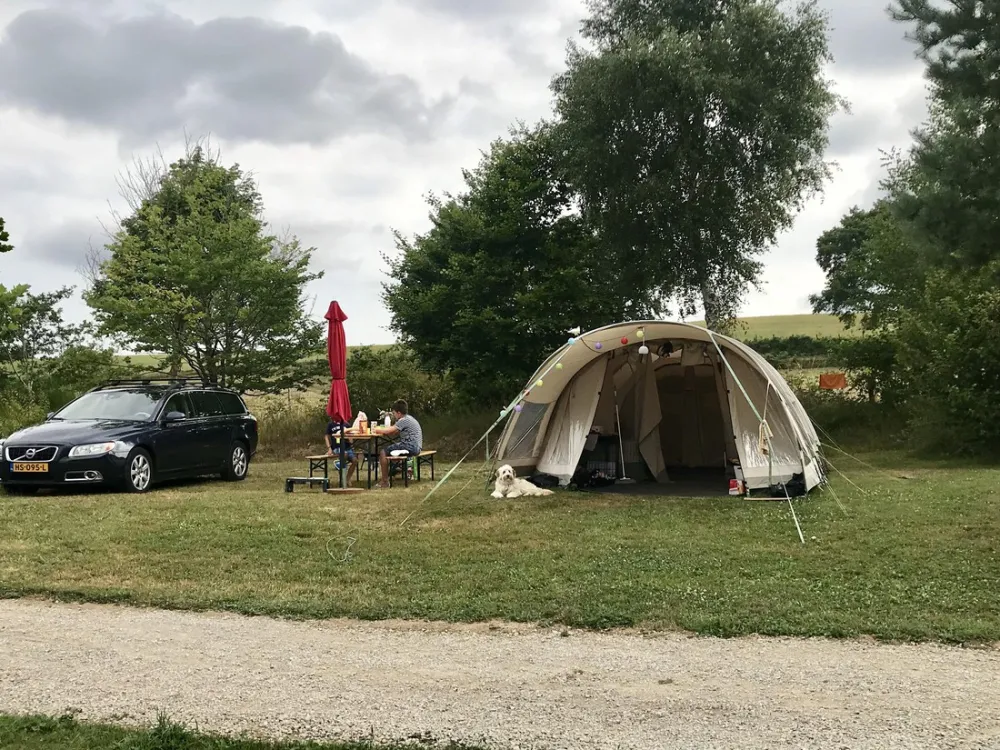 Domaine Les Teuillères (camping/chambres d'Hôtes/gîtes)