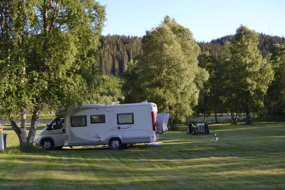 Morgedal Camping