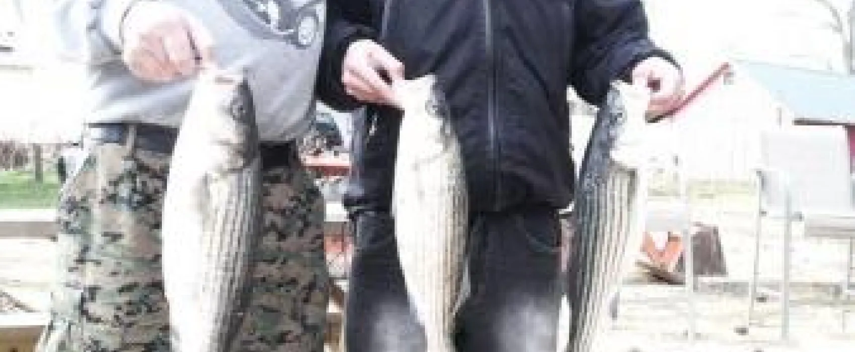 Camp Merryelande Vacation Cottages