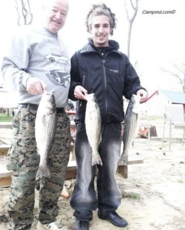 Camp Merryelande Vacation Cottages