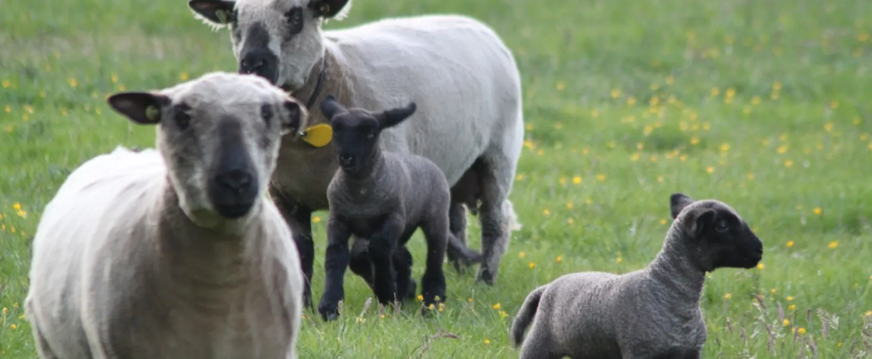 PUUR Natuurlijk Bed & Breakfast