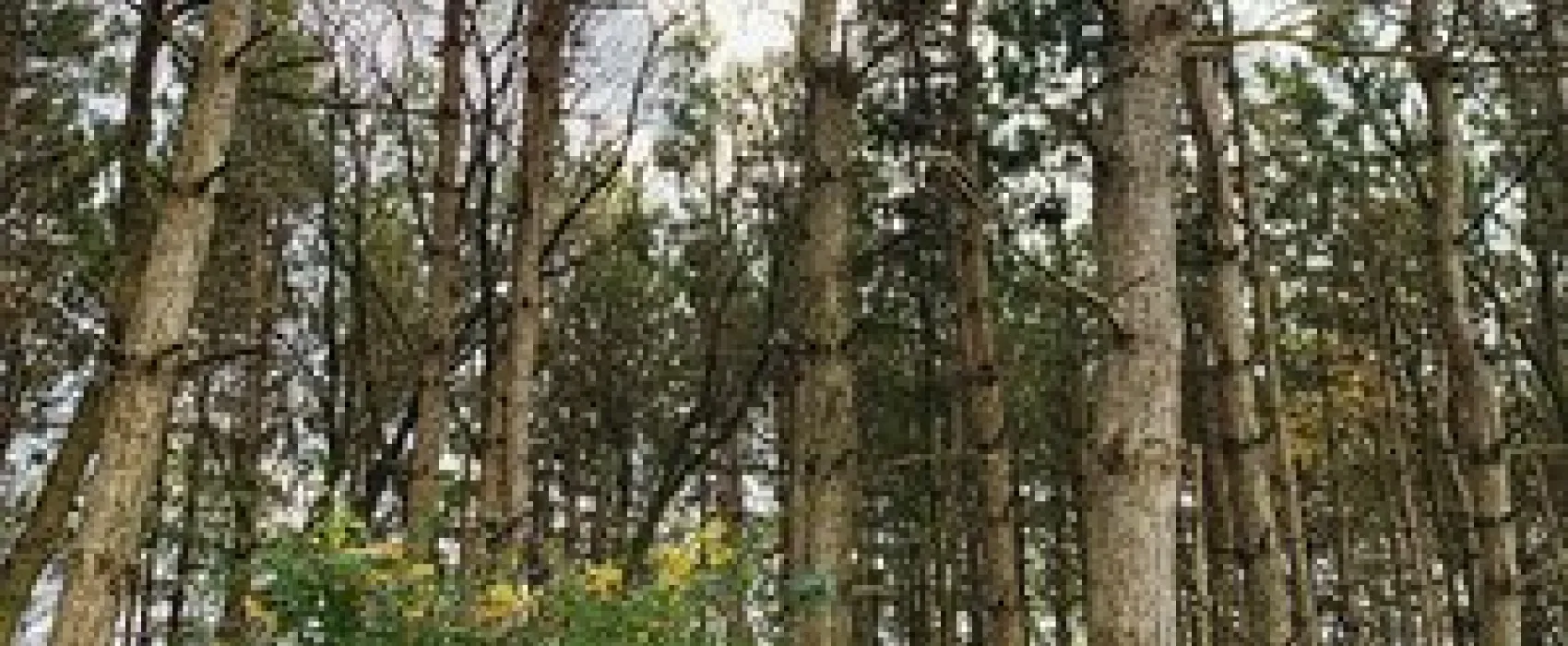 Indian Trails Campground