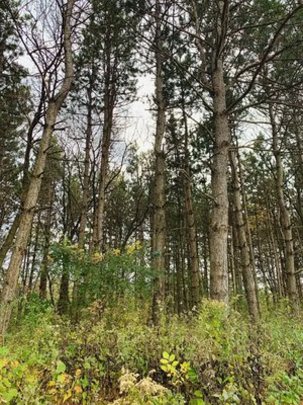 Indian Trails Campground