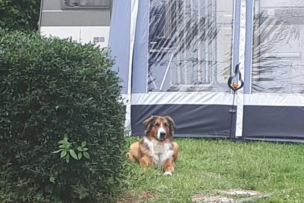 Camping Schliprüthener Mühle