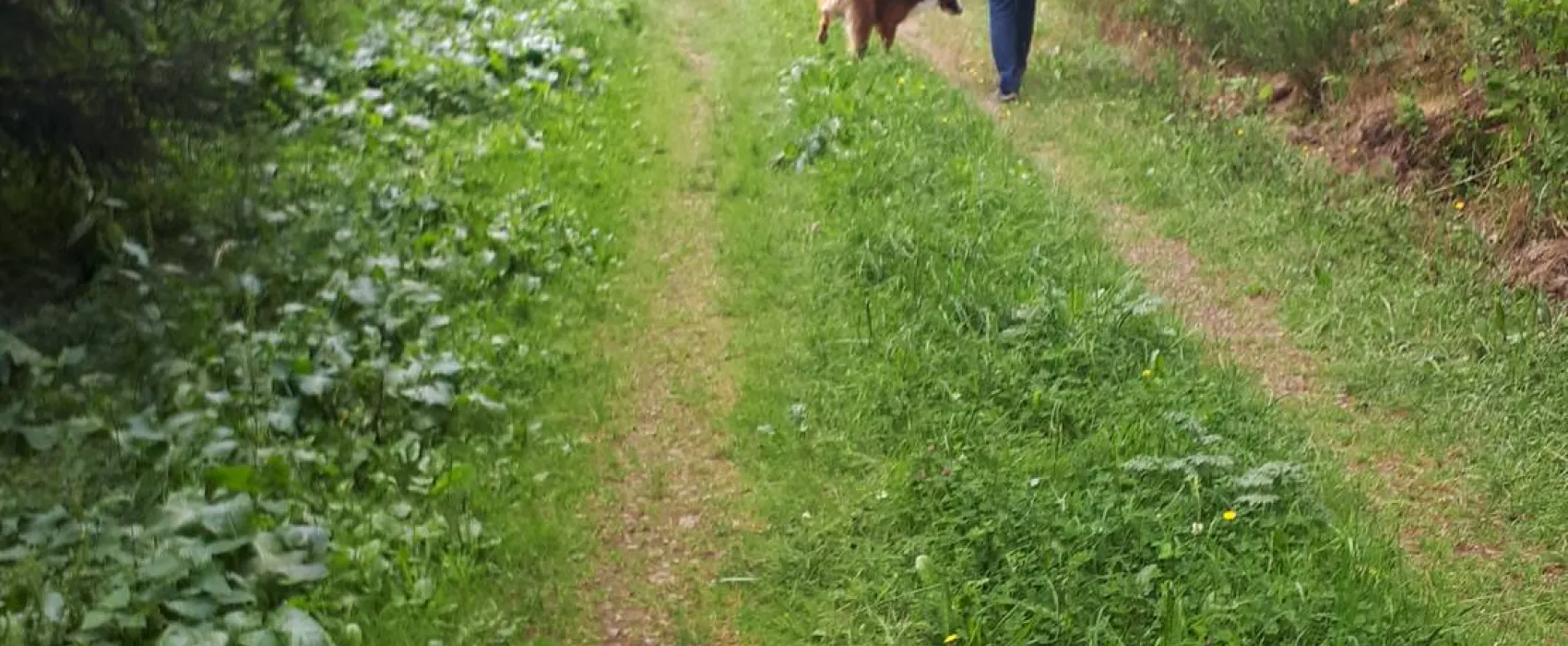 Camping Schliprüthener Mühle