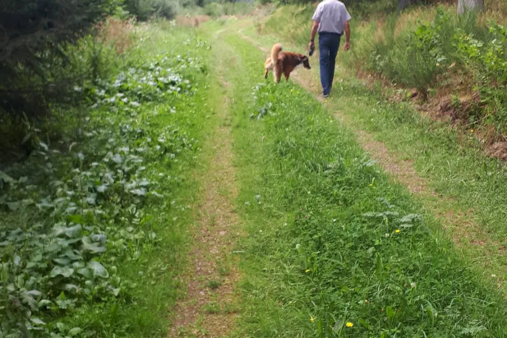 Camping Schliprüthener Mühle