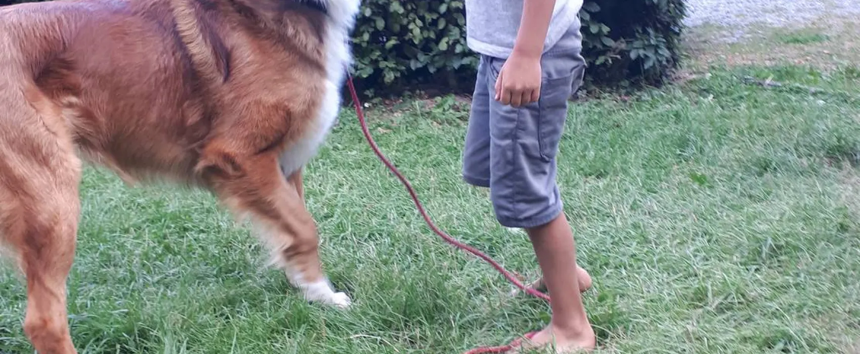 Camping Schliprüthener Mühle