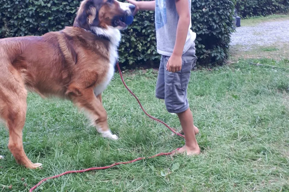 Camping Schliprüthener Mühle