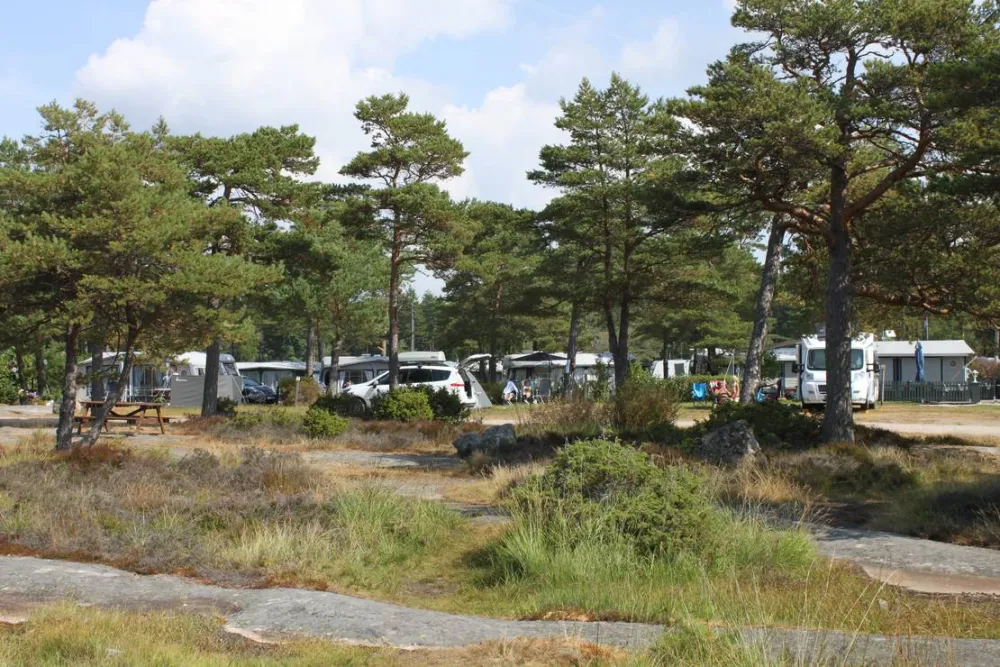 Bevø Camping