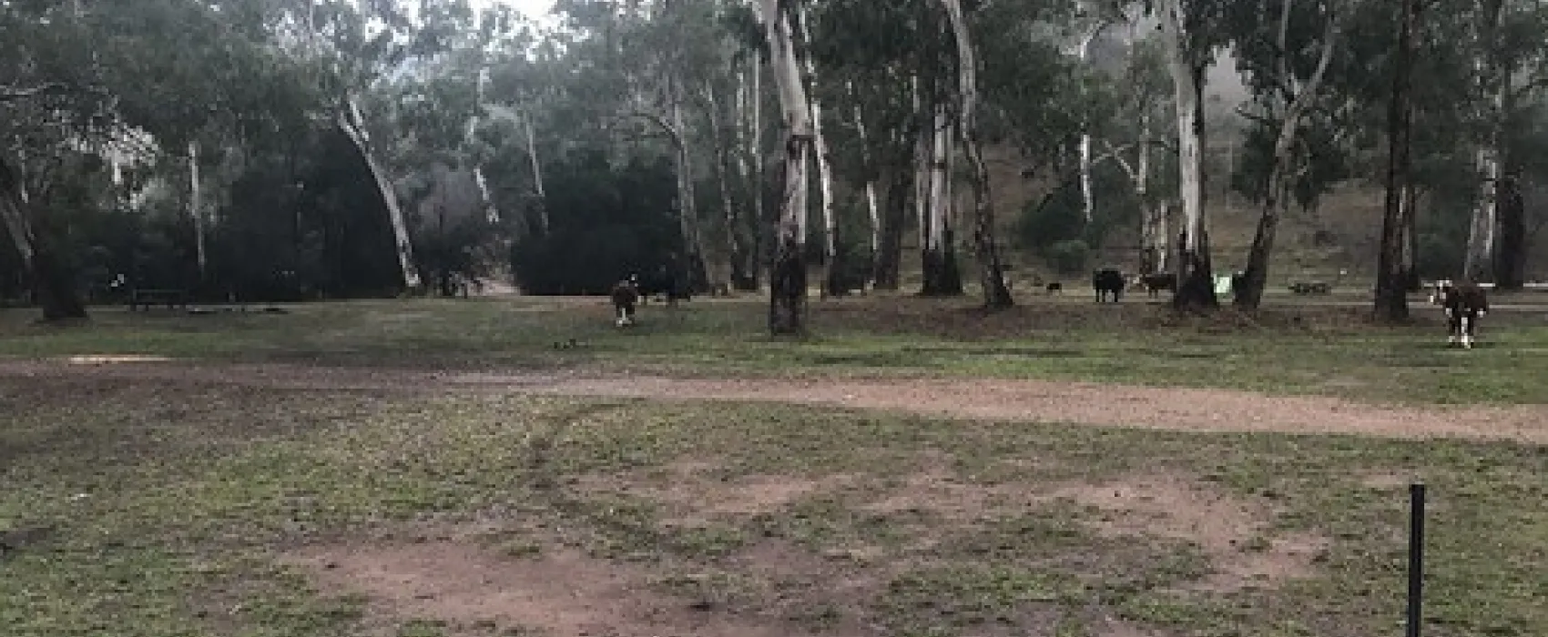 Frys Flat Campground