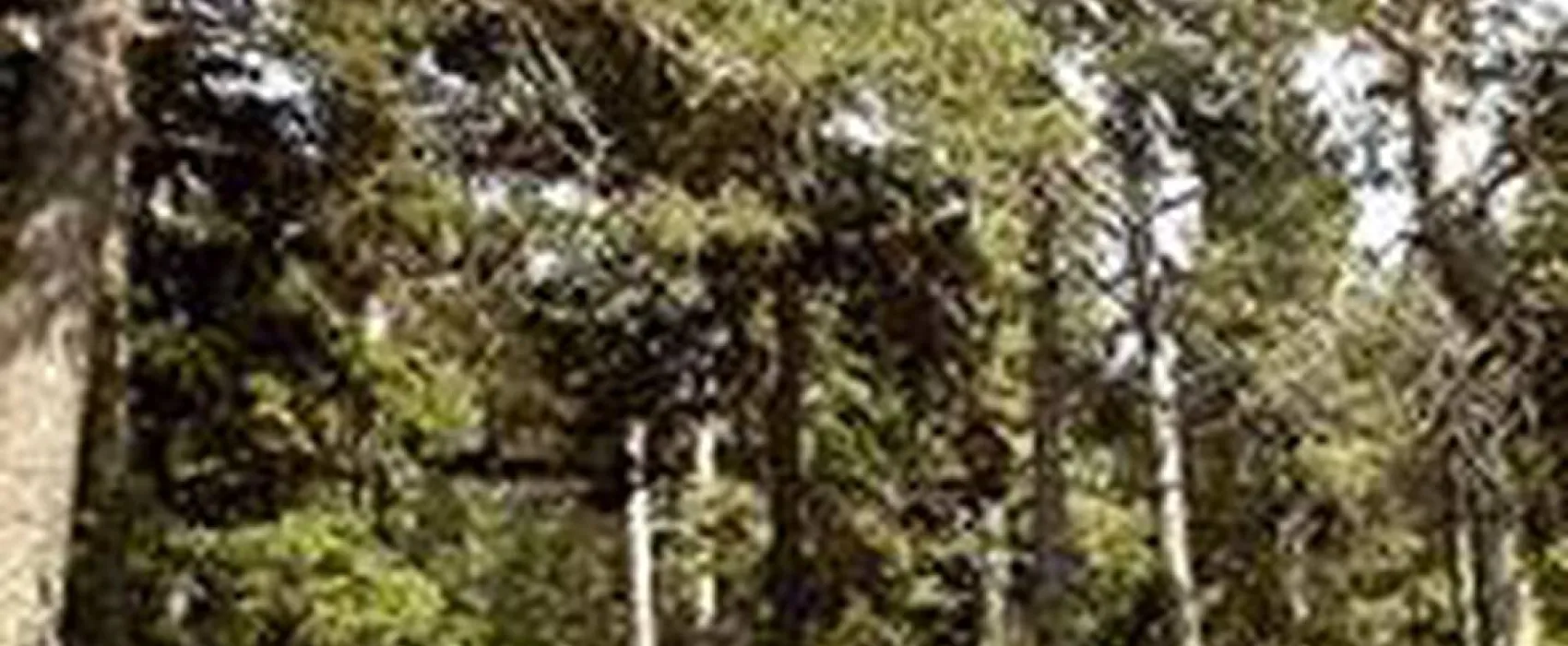 Camping du Pla de Barrès