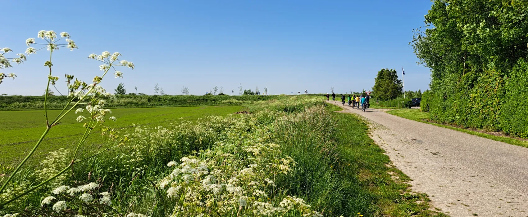 Mini-camping Klaverwijk