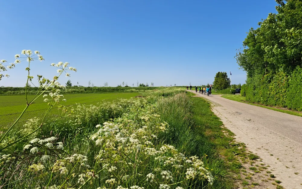 Mini-camping Klaverwijk